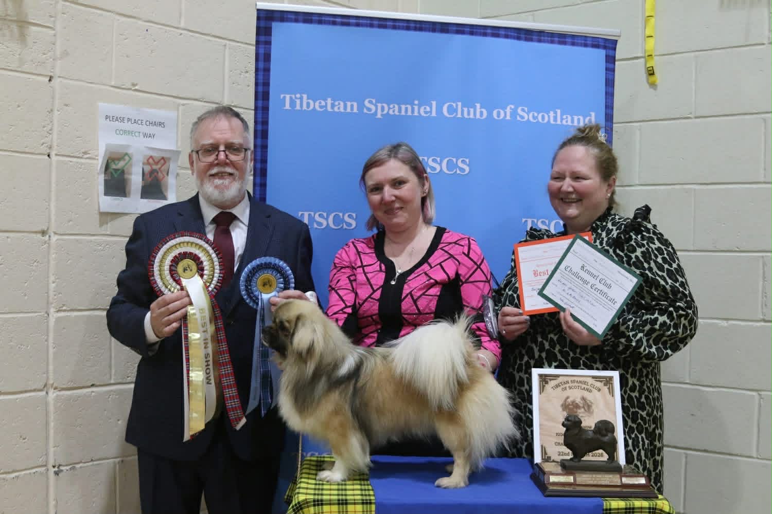 Best In Show - Balgay Golden Ticket - Champ Show March 2026 Best In Show