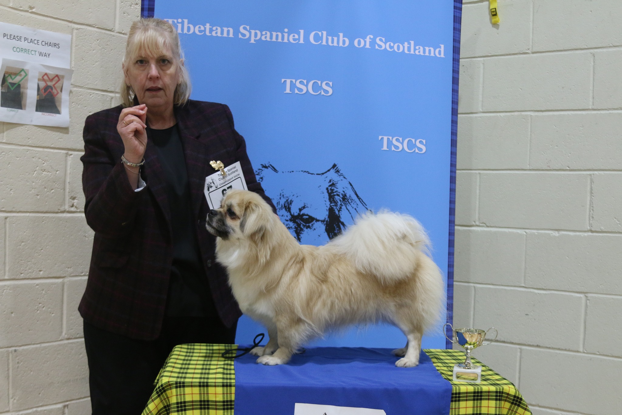 Reserve Best Puppy In Show - Glenbrook Brisa de Jardine at Thistletib - Champ Show March 2026 Reserve Best Puppy In Show