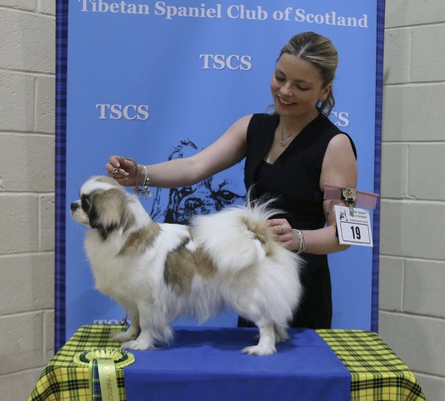 Best Special Colour A - Susu Parti Like A Rockstar - Champ Show March 2026 Best Special Colour A