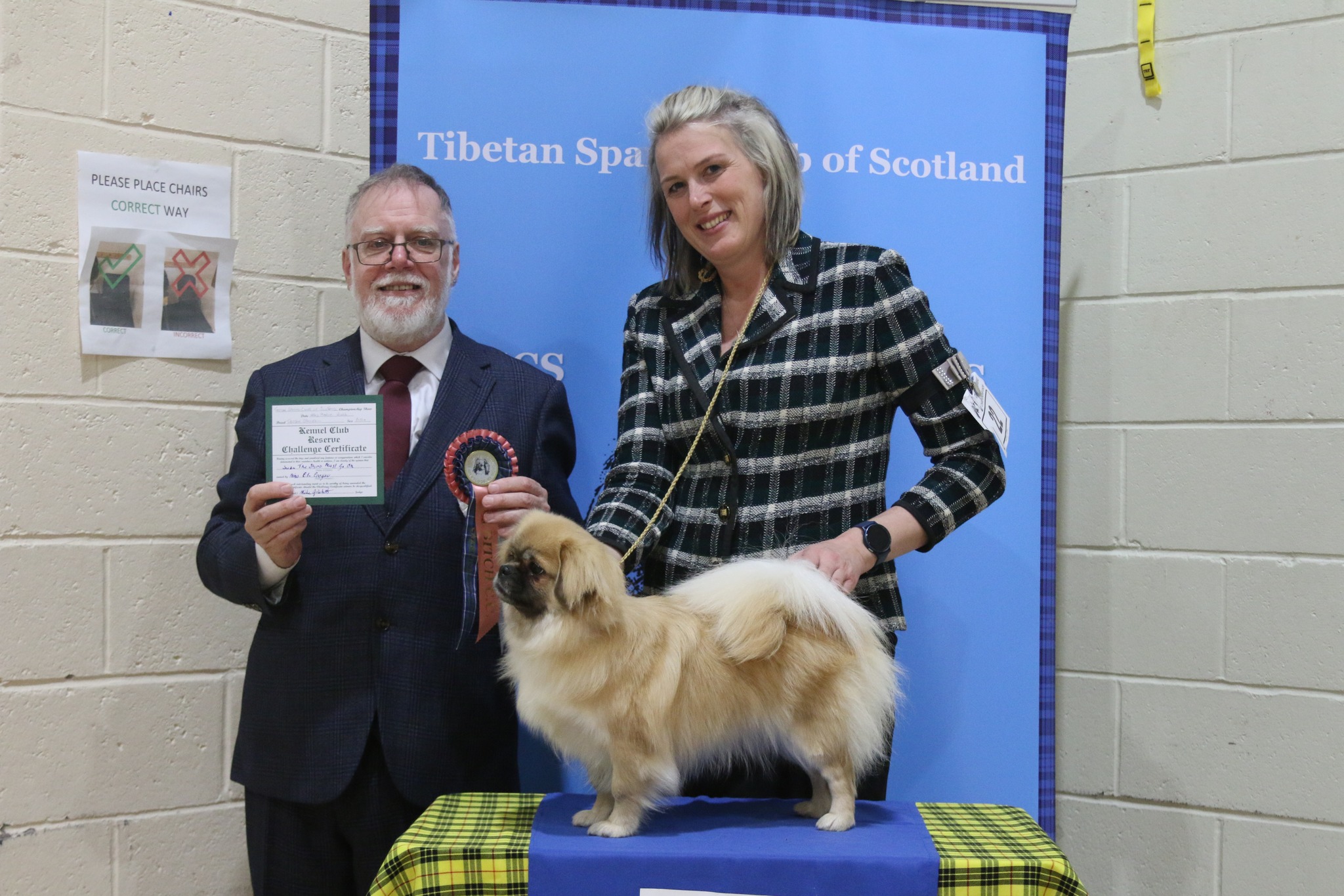 RBCC - Susu The Show Must Go On - Champ Show March 2026 Reserve Bitch CC