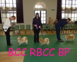 April 2019 results