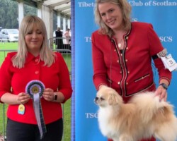 Best Vintage - Miss Claire Cooper - Ch & Ned Ch Dedicated to Don't Waste Time Susu Jw17
